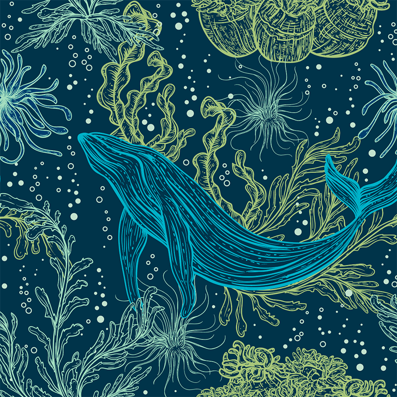 20oz-tkwide-with-twist-cap-ocean-day-k9 20oz_tkwide_bottle_seasonal_ocean_day_blue_whale_artwork_square.png