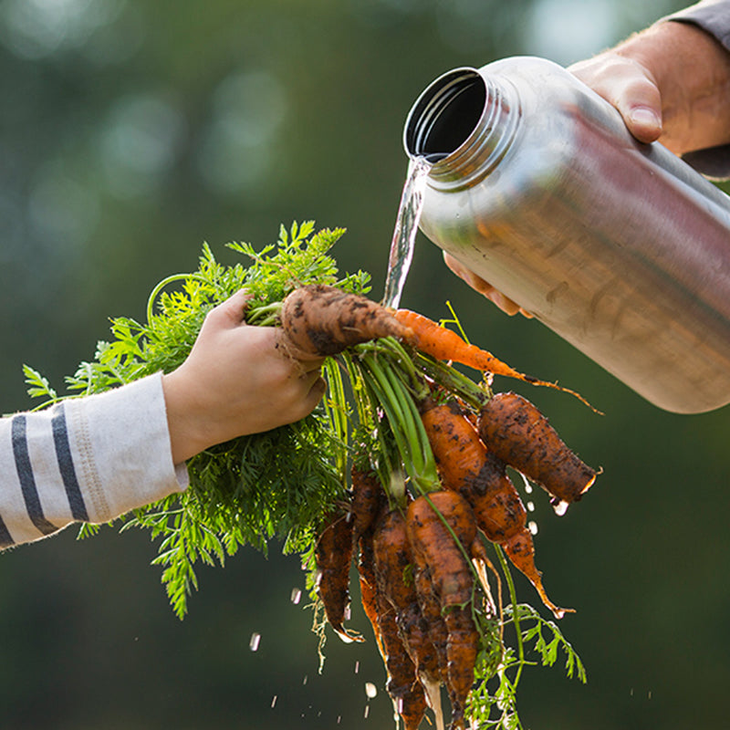 64oz-wide-with-loop-cap-m5 64oz_wide_mouth_bottle_carrots_rinse_square.jpg